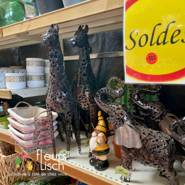 soldes 2026