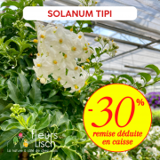 soldes 2026
