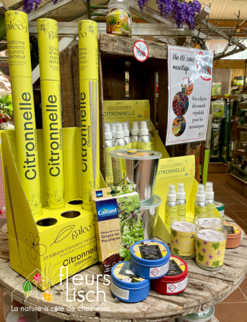 Solution Anti Moustique