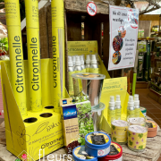 Solution Anti Moustique