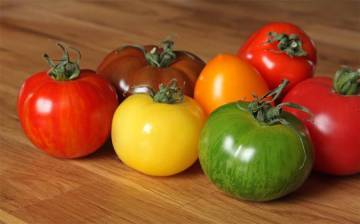 tomates