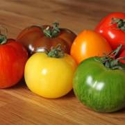 tomates