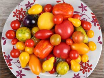 tomates