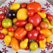 tomates