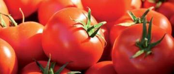 tomates
